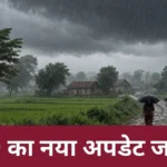 मध्य प्रदेश में कमजोर पड़ा चक्रवात अर्नब, बारिश का दौर होगा कम? IMD का नया अपडेट जानिए