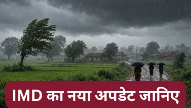 Cyclone weakens over Madhya Pradesh rainfall to subside