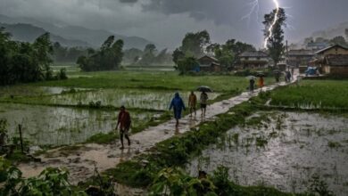 MP Monsoon Update